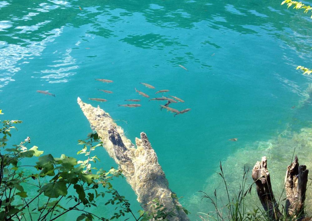 Plitvicer_Seen_Wasser