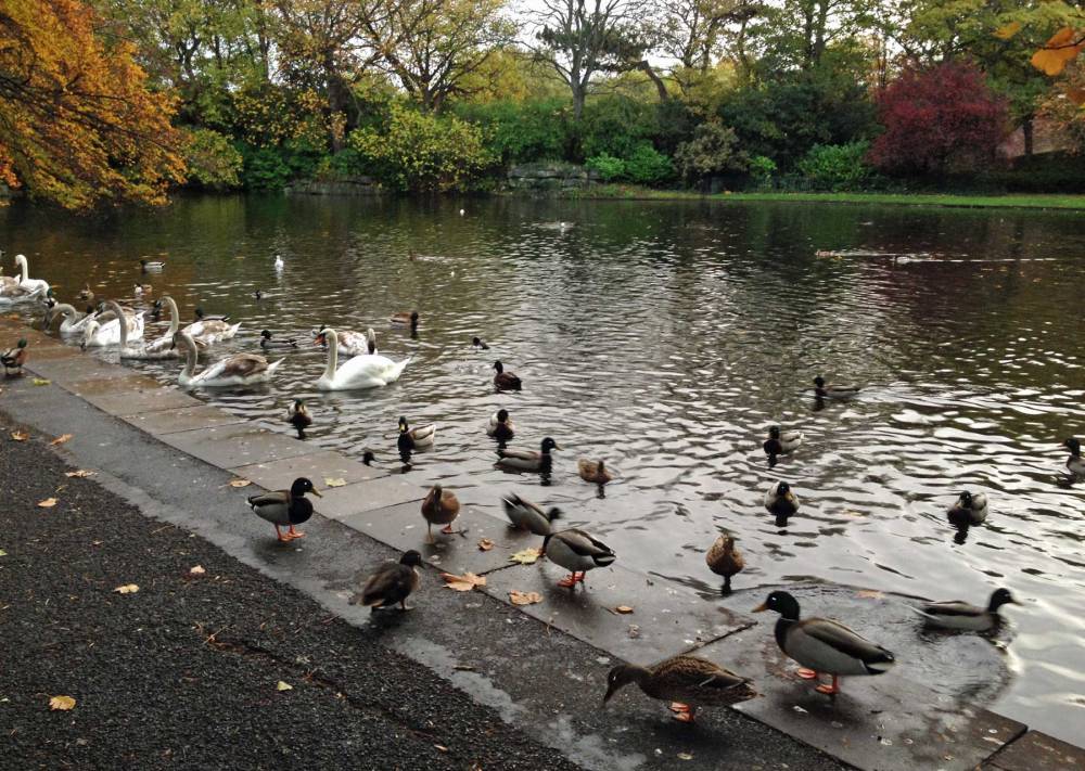 Stephen's Green Dublin