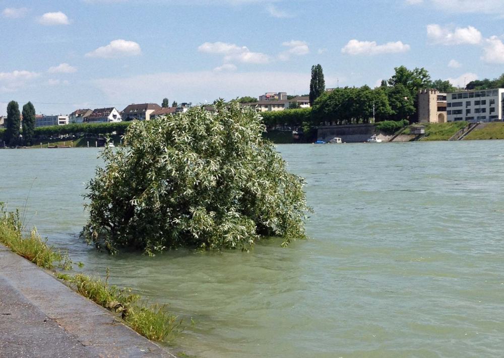 Hochwasser am Rhein in Basel