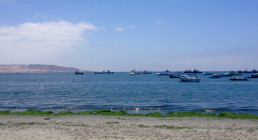 Fischerboote im Hafen von Paracas