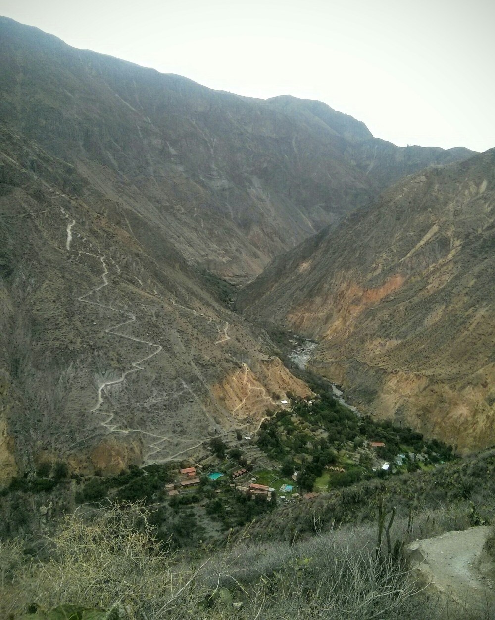 Oase Sangalle im Colca Canyon