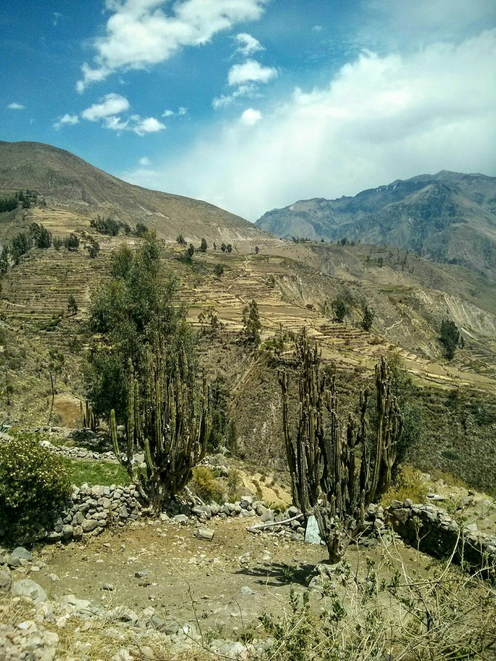 Aussicht im Colca Canyon