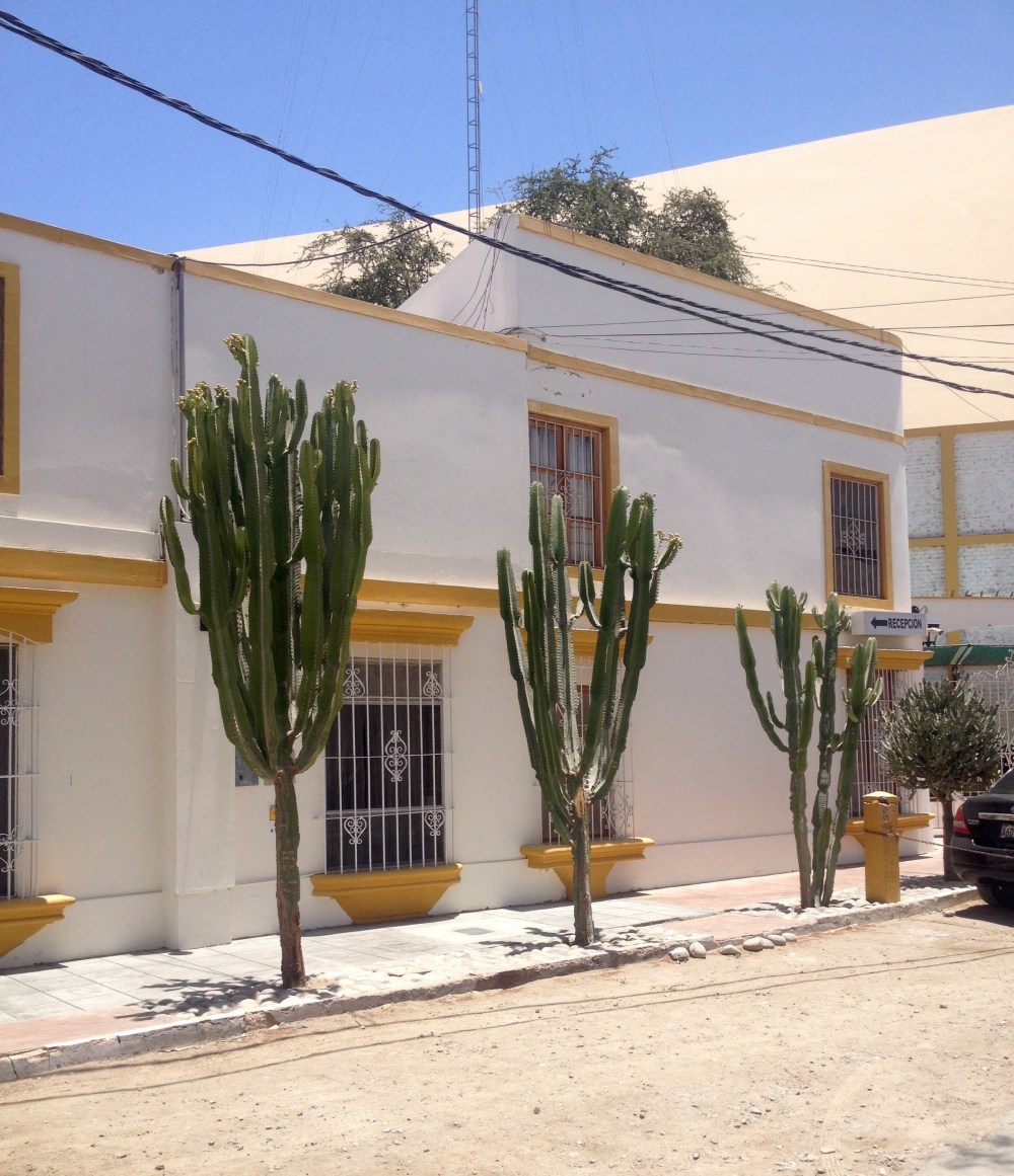 Oase Huacachina in Peru