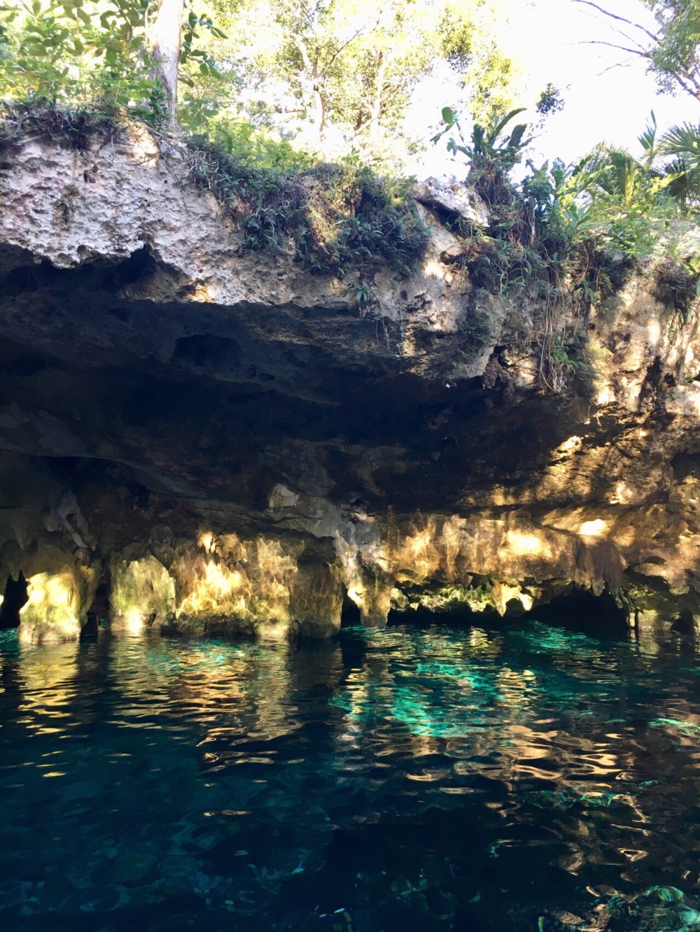 Gran Cenote in Tulum